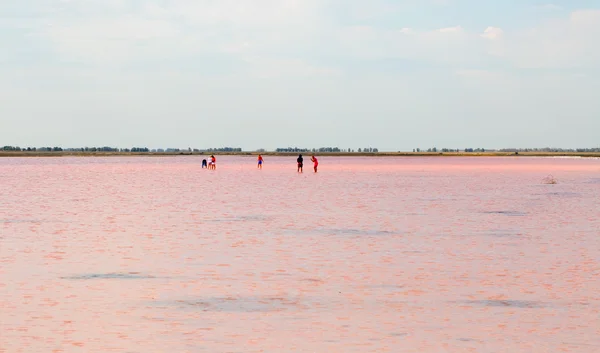 Slané růžové jezero — Stock fotografie