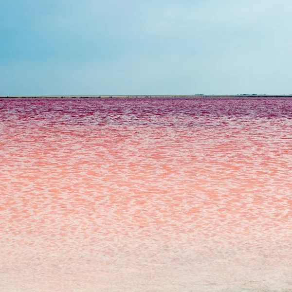 Slané růžové jezero — Stock fotografie