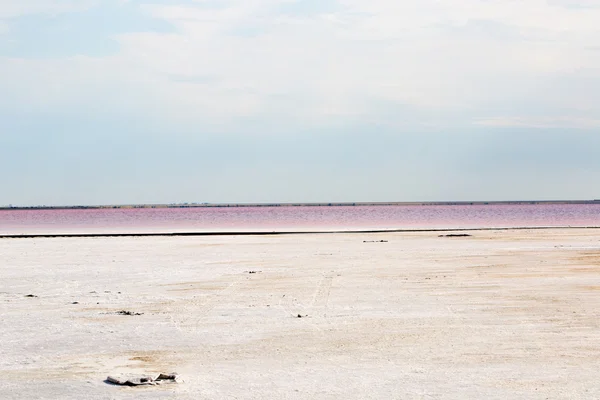 Salty pink lake — Stock Photo, Image