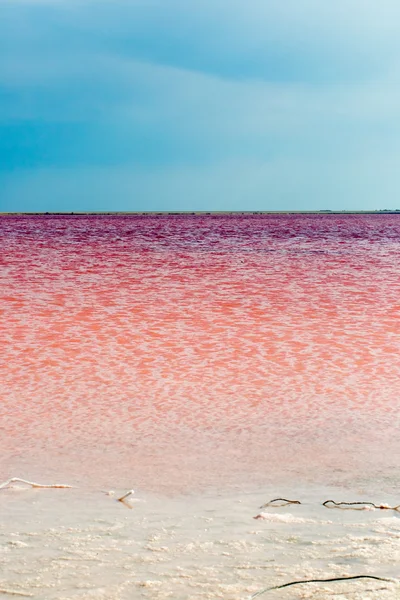 Tuzlu pembe göl