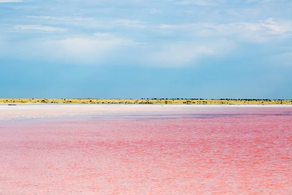 Tuzlu pembe göl