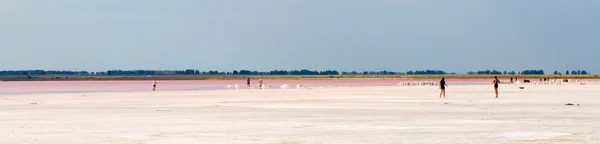 Salziger rosafarbener See — Stockfoto