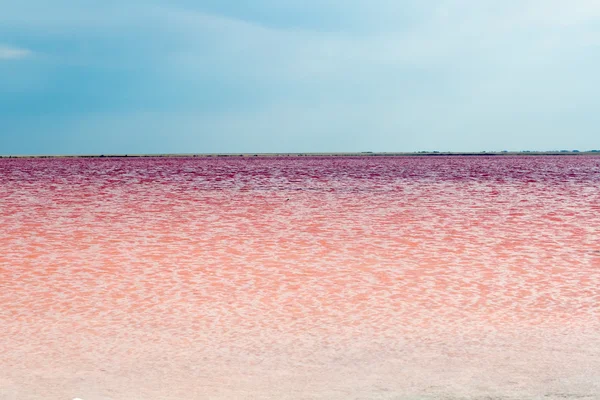 Salziger rosafarbener See — Stockfoto