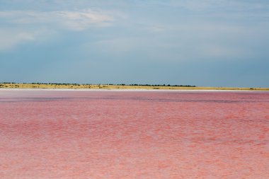 Tuzlu pembe göl
