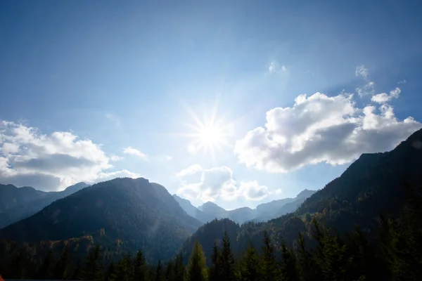 Ljusa gröna ängar och blå himmel — Stockfoto