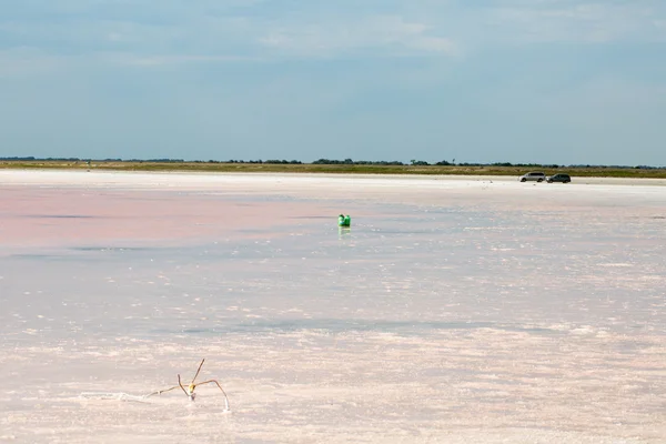 Tuzlu pembe göl — Stok fotoğraf
