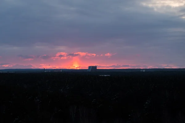 Fogo pôr do sol vermelho sobre as copas das árvores — Fotografia de Stock