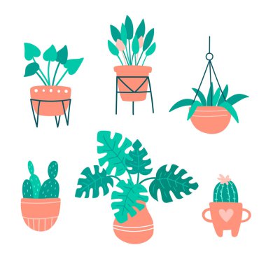Ev yapımı saksı bitkileriyle güzel çizimler. Vektör çizimi. Seramik saksılarda bitkiler. Kaktüslü, palmiyeli, sulu ev bahçesi. İç mekan ve dekorasyon için elmaslar. Çıkartmalar ve tasarım için