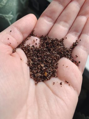 Genç bir kadının elinde kuru kahve fırçası. Kozmetik ve kozmetik ürünleri. Güzellik ve cilt bakımı