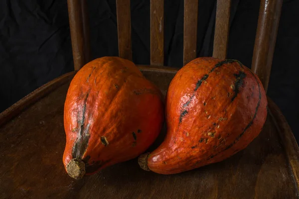 Calabazas Colores Silla Madera Escena Otoño —  Fotos de Stock