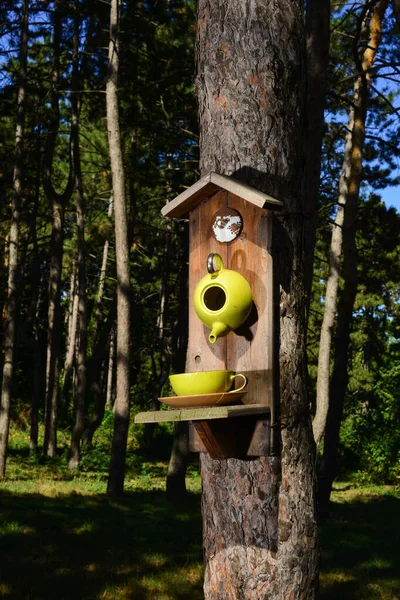 Sebuah pengumpan burung dalam bentuk teko dan cangkir. Pemakan diinstal pada pohon di taman. Perawatan burung liar, rumah dan makanan. Sarang burung di musim semi — Stok Foto