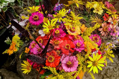 Yakın plan Zinnia zarafeti ve diğer çiçekler..