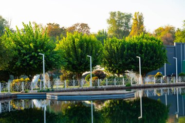 Beautiful autumn trees reflecting in calm water of a city park lake. Scenic landscape with colorful foliage, sunlight, and peaceful atmosphere