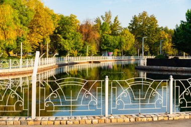 Beautiful autumn trees reflecting in calm water of a city park lake. Scenic landscape with colorful foliage, sunlight, and peaceful atmosphere