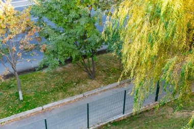 Yol kenarında yeşil ve sarı ağaçlarla güneşli bir sonbahar günü. Şehir parkında sıcak ışık ve gölgeli doğal yapraklar.