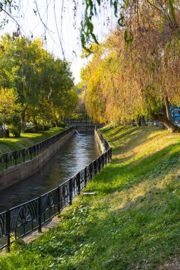 Sonbahar ağaçları, güneş ışığı yansımaları ve peyzaj setleriyle şehir mimarisini doğal güzelliklerle harmanlayan manzaralı şehir kanalı.