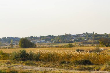Uzun otlar, renkli yapraklar ve kırsal bir kulübe ile manzaralı sonbahar manzarası, mevsimsel cazibe ve kırsal sükuneti çağrıştırıyor.