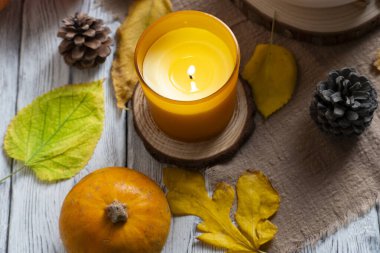 Mum, balkabağı, kozalak, elma ve ahşap arka planda renkli yapraklarla ılık sonbahar kompozisyonu. Sonbahar, Şükran Günü ve mevsimlik dekorasyon için mükemmel.