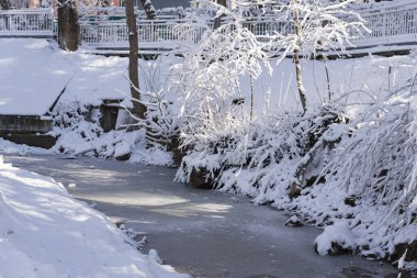 Sarkık dalları ve sarı yaprakları olan karla kaplı ağaç sakin bir kış manzarasında donmuş bir derenin yanında duruyor.