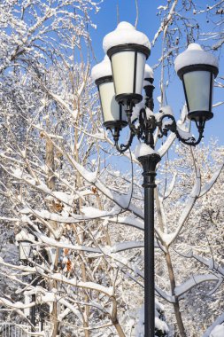 Karlı dallara ve berrak mavi gökyüzüne karşı karla kaplı süslemeli sokak lambası, sakin şehir güzelliğini yakalıyor.