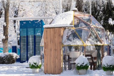 Şeffaf jeodezik kubbeler ağaçlar, bitkiler ve şenlik sicim ışıkları ile çevrili karlı bir parkta duruyor.