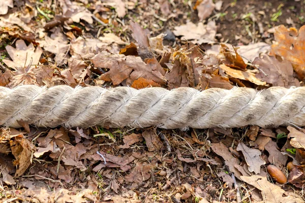 Close Van Een Vuile Twee Strengs Gedraaide Natuurlijke Vezels Touw — Stockfoto