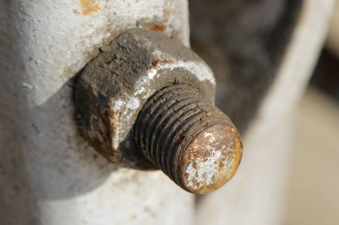 Yaşlı Rusty Bolt ve Nut bir metal kutbunda. Seçici odaklı fotoğraf