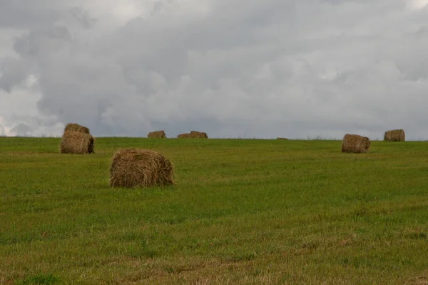 Grünland Mit Heuhaufen Einem Bewölkten Tag — Stockfoto