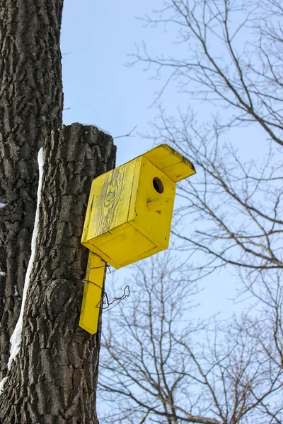 Een Helder Geel Houten Vogelhuisje Aangebracht Een Boomstam Een Zonnige — Stockfoto