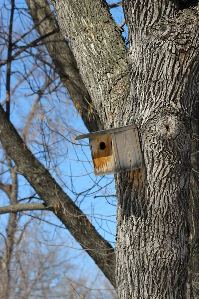 Drewniany Domek Dla Ptaków Przymocowany Pnia Drzewa — Zdjęcie stockowe