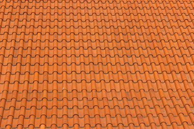 İç kanama ve tekila ile döşenmiş bir çatı. Fotoğraf perspektifi