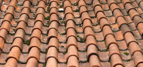 Old Roof Tiled Imbrices Tegulae Photo Perspective Selective Focus — Stock Photo, Image