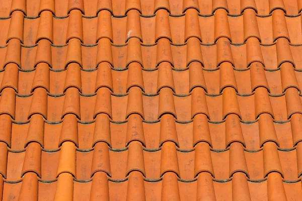 İç kanama ve tekila ile döşenmiş bir çatı. Fotoğraf perspektifi