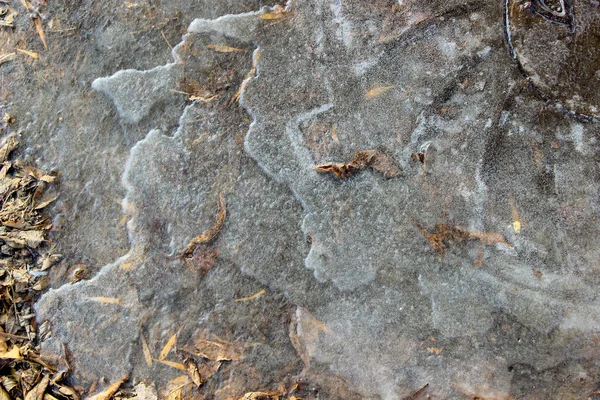 Frozen Puddle Dried Orange Fallen Leaves Partially Covered Ice — Stock Photo, Image