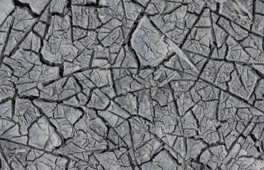 Çatallı kurumuş toprağın dokusu