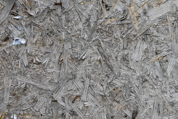 Texture Old Wood Particle Board — Stock Photo, Image