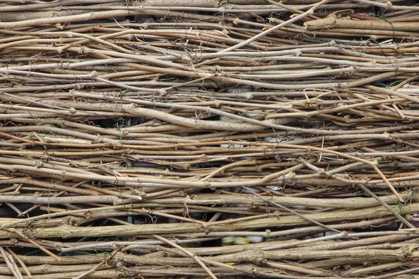 Tırmanma bitkilerinin kuru filizlerinden yapılmış bir duvarın dokusu arka plan olarak birbirine örülmüş.