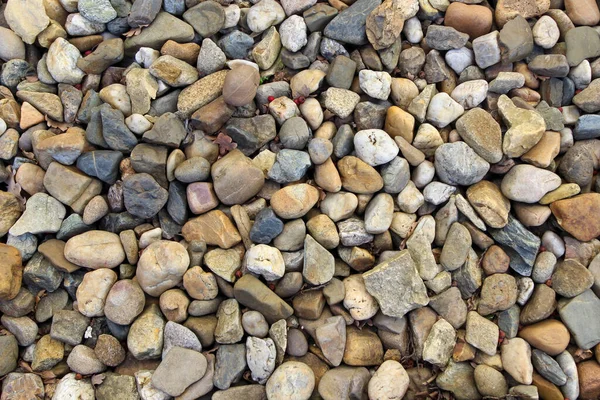 Pebbles Forma Diferente Tamanho Cor Origem Como Fundo — Fotografia de Stock