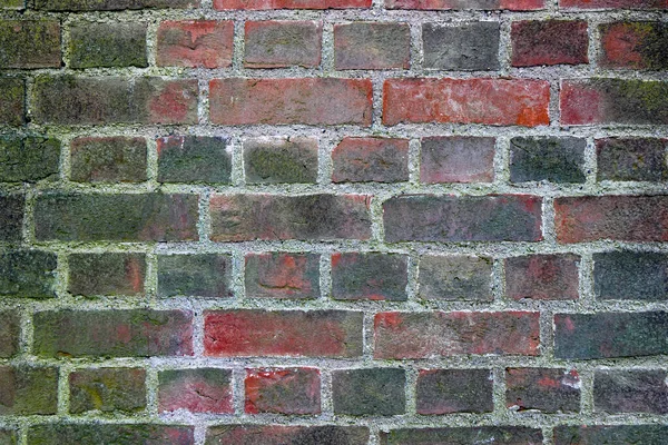 Primer Plano Una Antigua Pared Ladrillo Parcialmente Cubierta Musgo —  Fotos de Stock