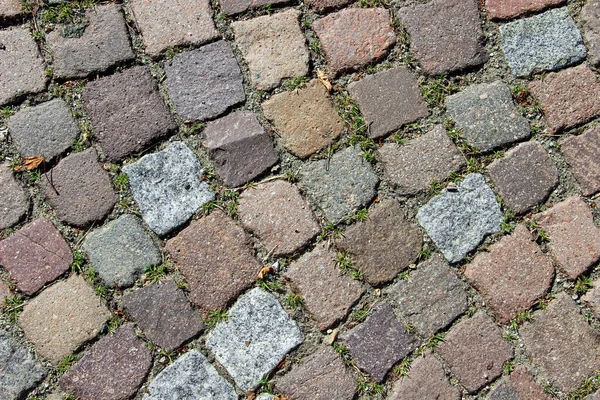 Une Vieille Chaussée Pavée Blocs Granit Carré Avec Herbe Entre — Photo