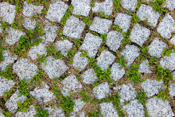 Viejo Pavimento Piedra Empedrado Con Bloques Cuadrados Granito Con Hierba — Foto de Stock