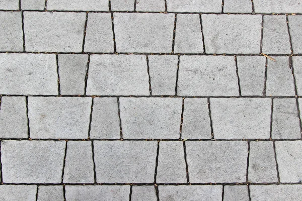 Sidewalk paved with two types of trapeziform gray tiles