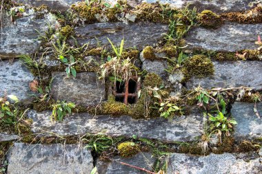 Doğal kayalardan yapılmış eski bir duvar. Ortasında pencere benzeri su borusu ve iki blok arasında bitki ve liken var.