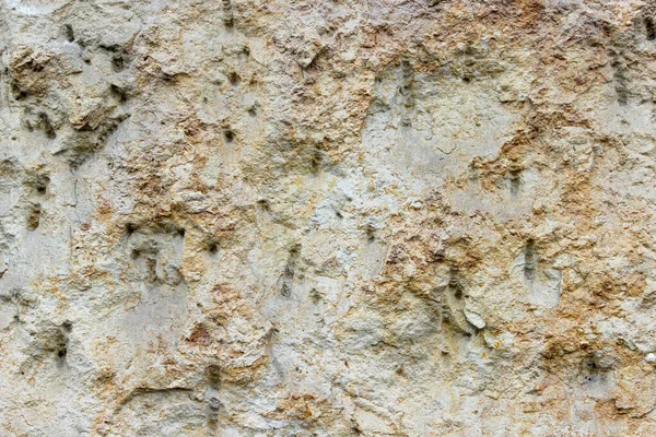 Texture Mur Pierre Erose Perforée — Photo