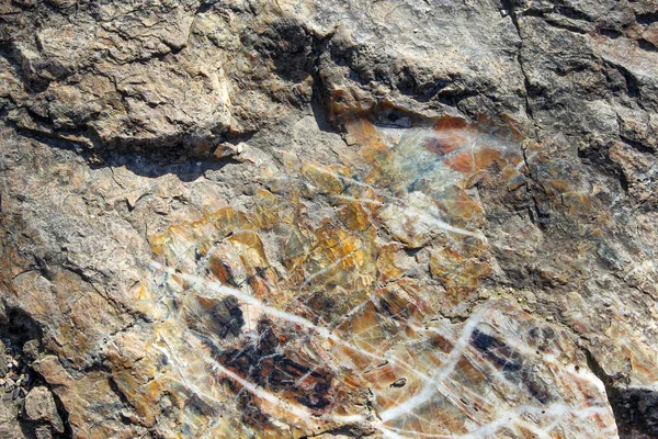 Textura Una Roca Sedimentaria Chert —  Fotos de Stock