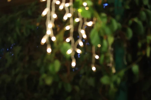 Strings Blurred White Holiday Lights Garden Defocused Background Rechtenvrije Stockafbeeldingen