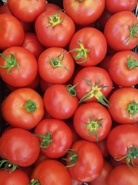 Kırmızı olgun taze domatesler kutuda.