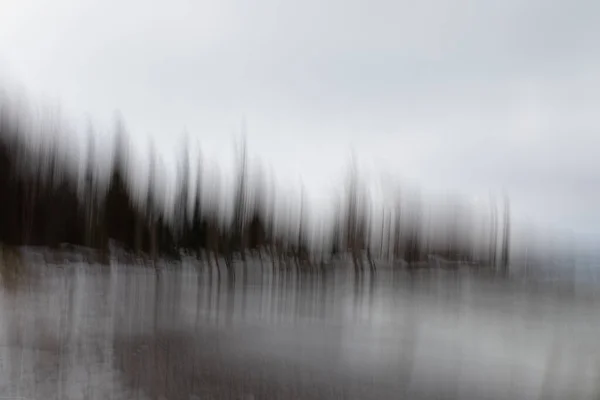 Foto abstracta de árboles en una playa — Foto de Stock