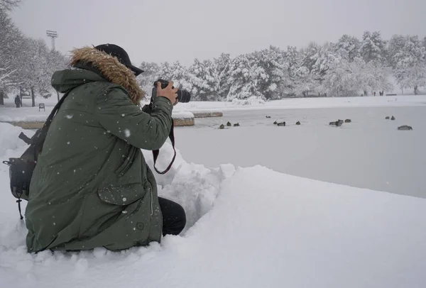 Fotoğrafçı, kar yağışının ortasında donmuş bir gölde ördek resimleri çekiyor.