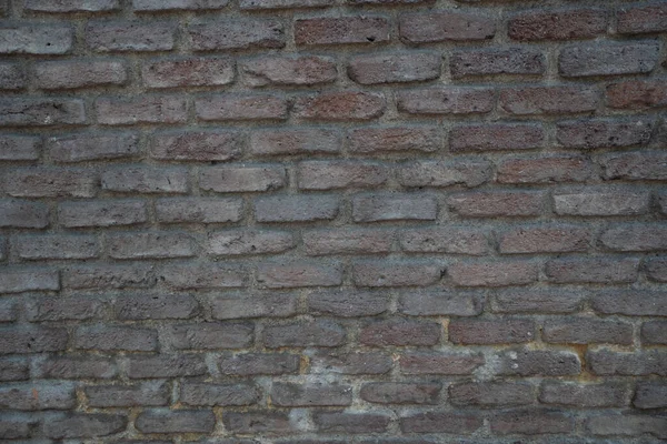 Şehrin yanında gri tuğla duvar bulundu.